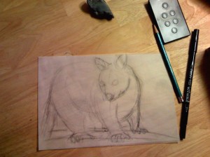 pencil2 A drawing in progress.
