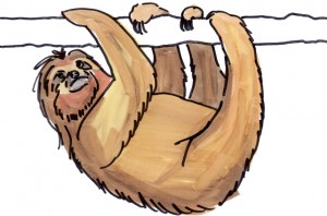 slothsketch slothsketch