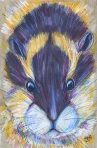 lemmus_lemmus_72 Norway lemming (click image to enlarge)