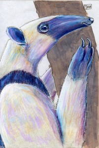 northern tamandua (click image to enlarge)