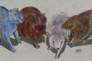 4_capromyidae_72 Four species of hutia (click image to enlarge)