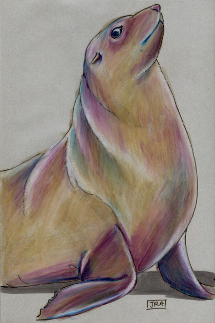 Cape fur seal (click image to guadalupe fur seal. Cape fur seal (click image to
