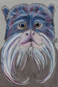 saguinus_imperator_72 Emperor tamarin (click image to enlarge)