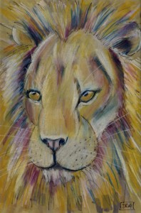 panthera_leo_72 My lion