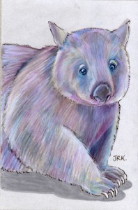 vombatus_ursinus_72