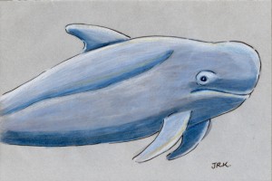 globicephala_macrorhynchus_72