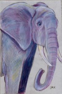 loxodonta_africana_72