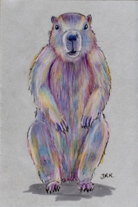 marmota_marmota_72