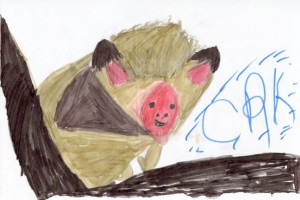myotis_bechsteinii_coco_72