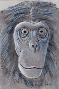 pan_paniscus_72