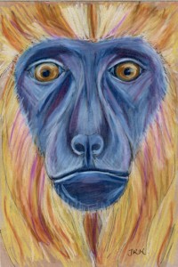 alouatta_caraya_72