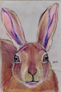 lepus_coreanus_72