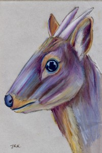 pudu_puda