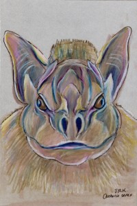 wrinkle-faced bat