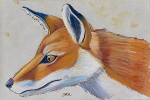 Red fox