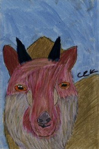 capricornis_crispus_crk_72