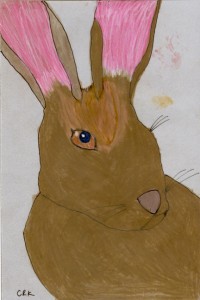 lepus_flavigularis_crk_72