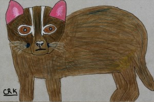 prionailurus_iriomotensis_crk_72