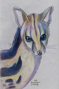 prionodon_linsang72