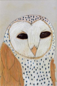 barnowl_crk72